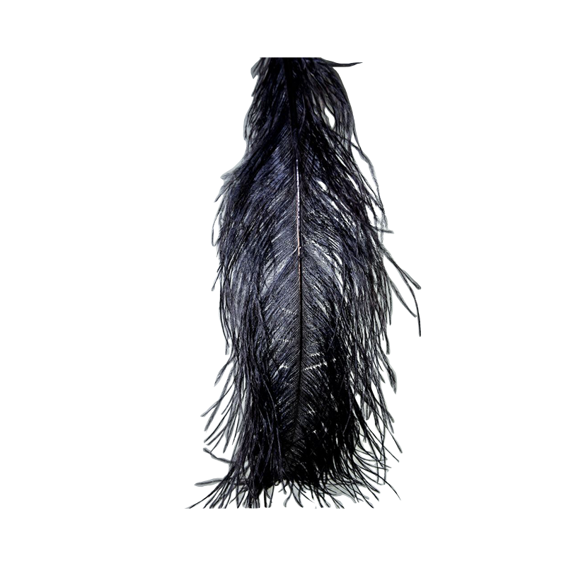 Single Black Ostrich Feathers