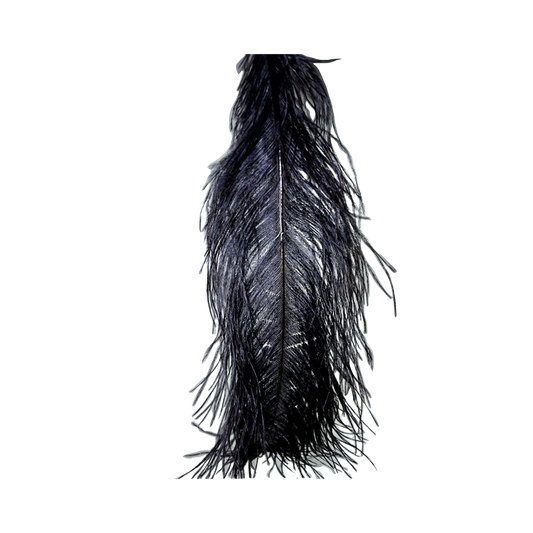 Single Black Ostrich Feathers