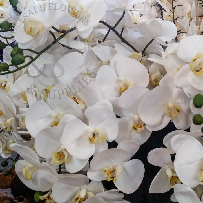 Real touch Orchid Phalaenopsis 39" Cream