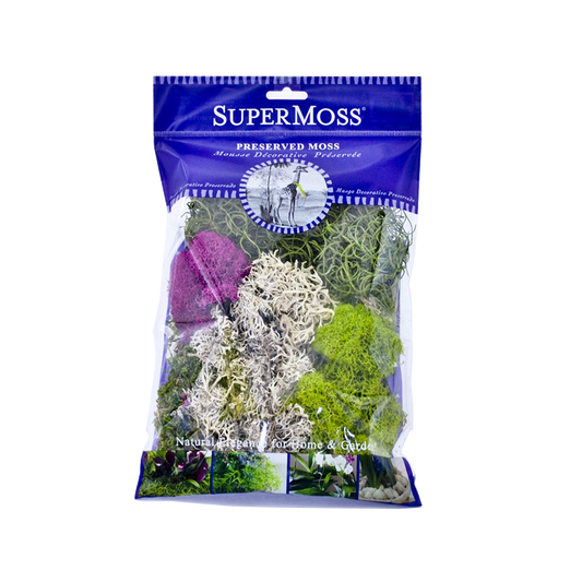 Preserved Moss Assorted mix
