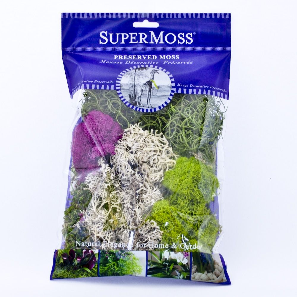 Preserved Moss Assorted mix – Floral Supply Market