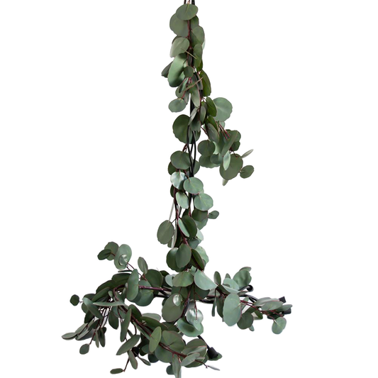 Silver Dollar Eucalyptus Garland Sage 5' Artificial