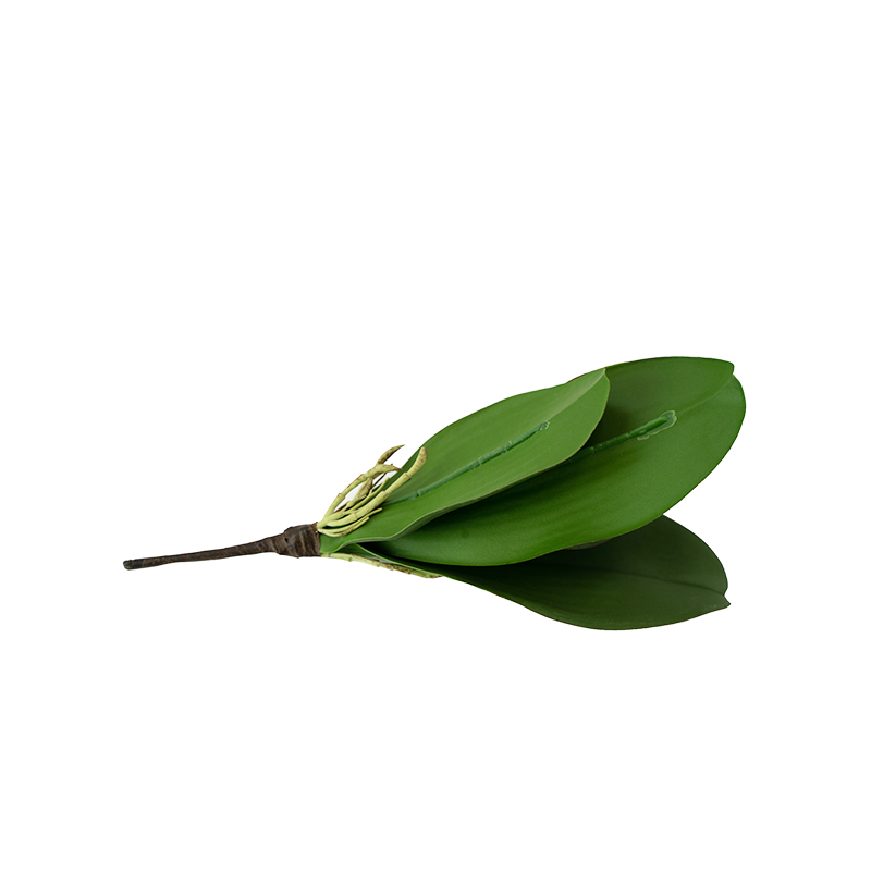 Phalaenopsis Plant Leaf Pick - 10 inch