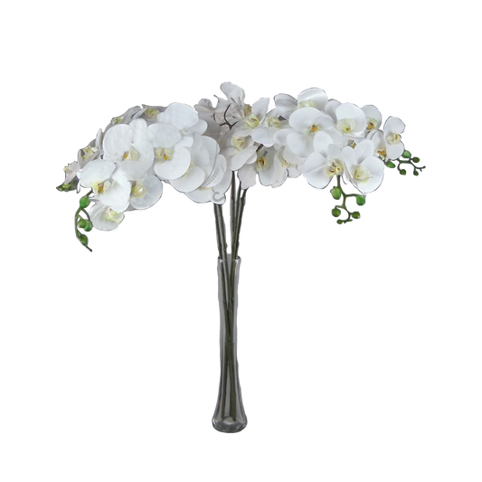 Real touch Orchid Phalaenopsis 39" Cream