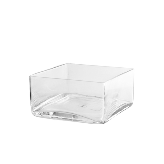 Square Glass Dish Garden 4-inches tall x 8-inches wide