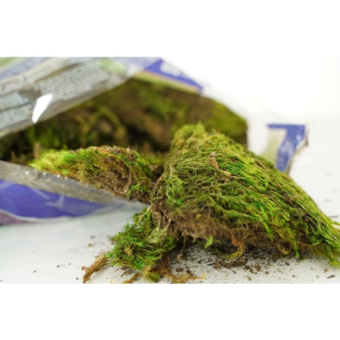 Mood Moss Preserved Natural Green - Large bag