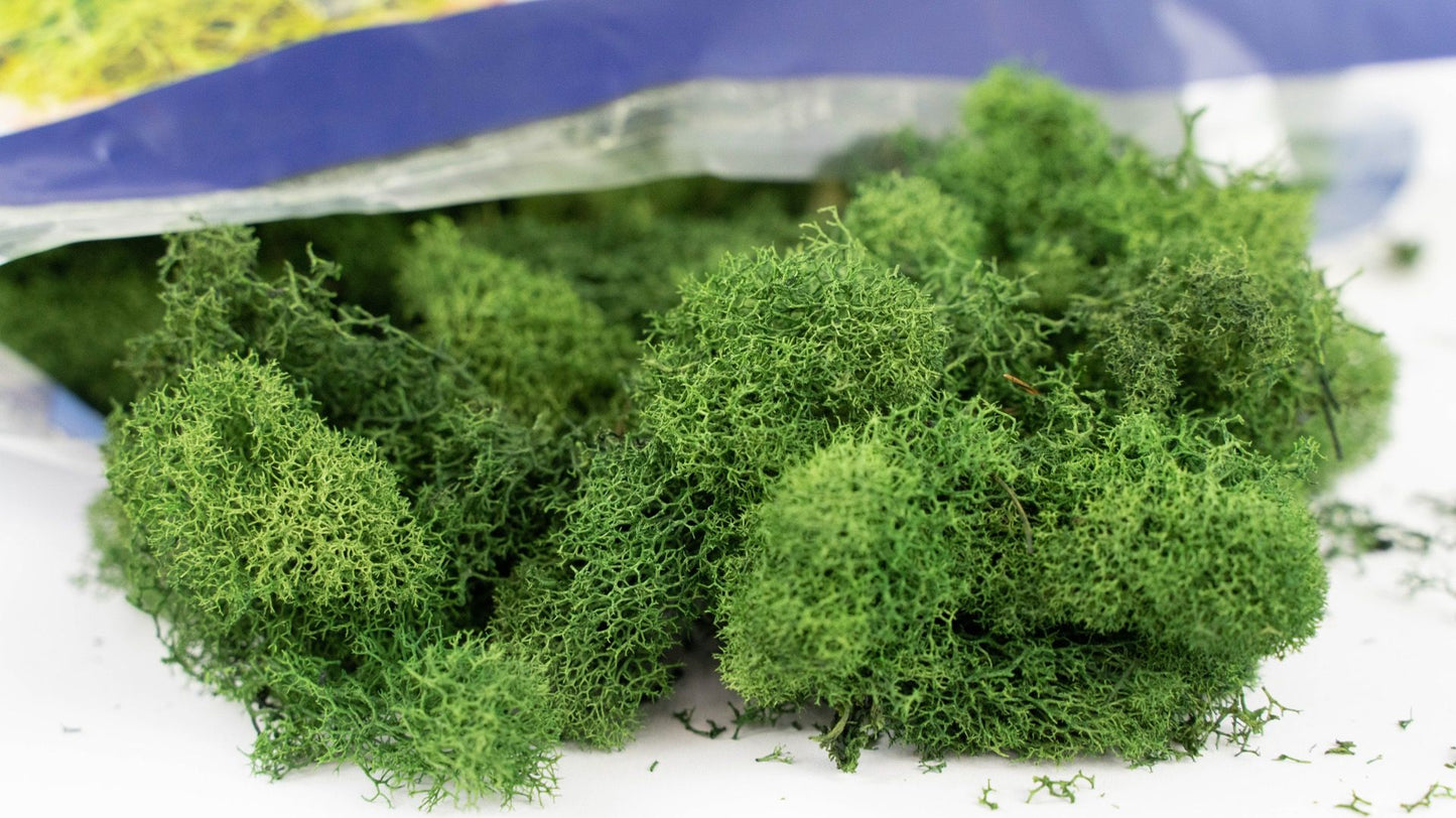 Reindeer Moss Color Enhanced Bag