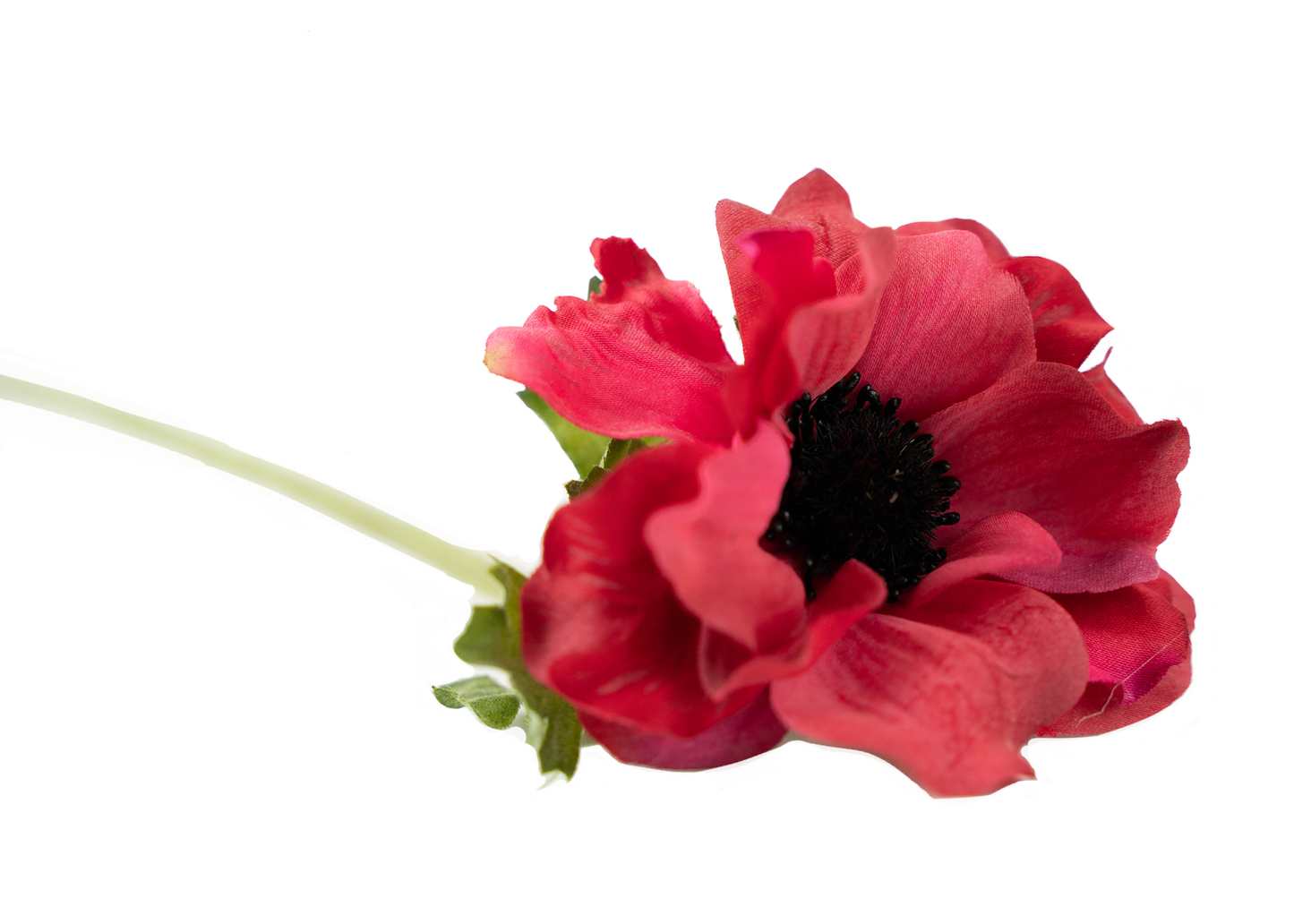 Anemone Spray Stem Red 15"