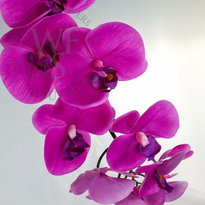 Real Touch Orchid Phalaenopsis Cream and Lavender 39"