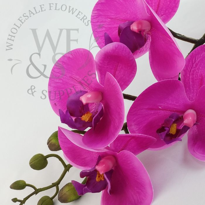 Real Touch Orchid Phalaenopsis Cream and Lavender 39"