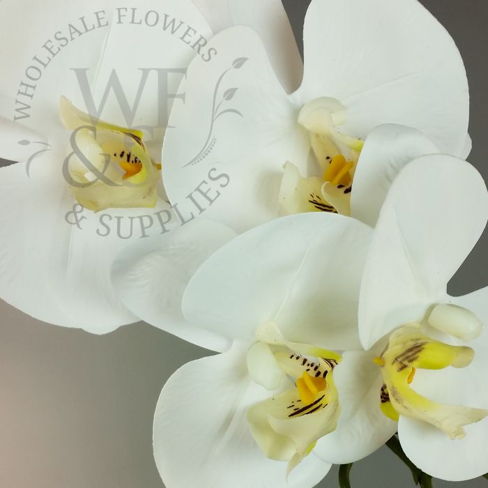 Real Touch Orchid Phalaenopsis Cream and Lavender 39"