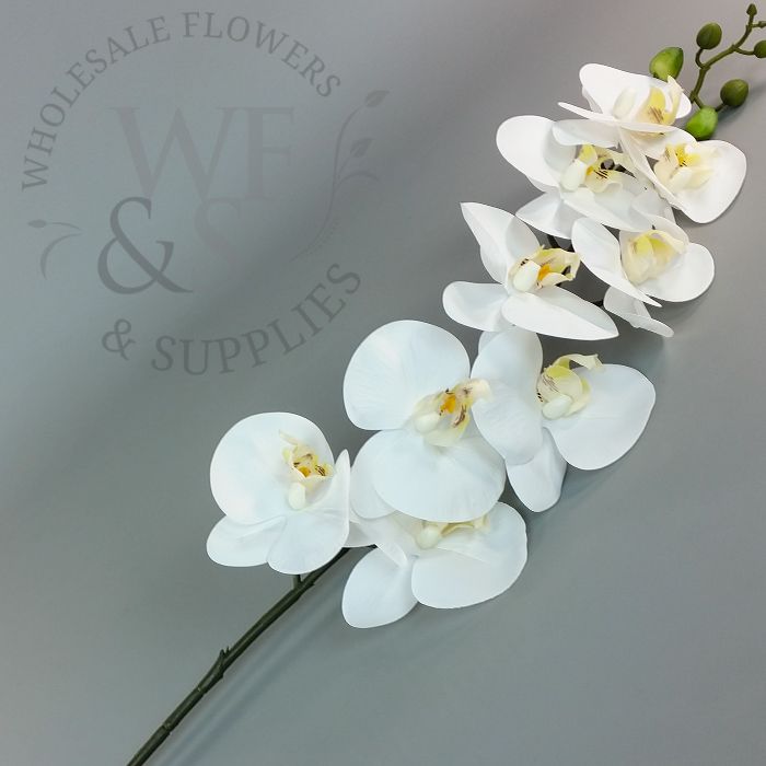 Real Touch Orchid Phalaenopsis Cream and Lavender 39"