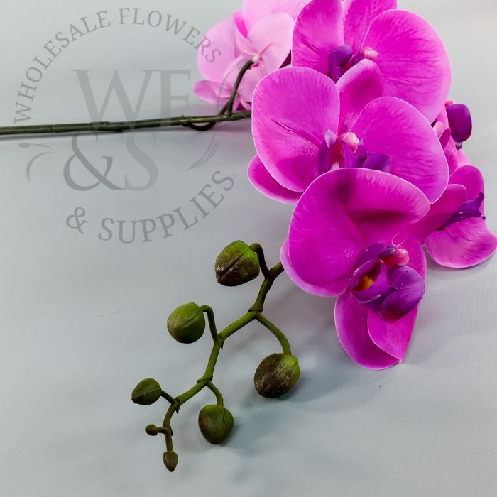 Real Touch Orchid Phalaenopsis Cream and Lavender 39"