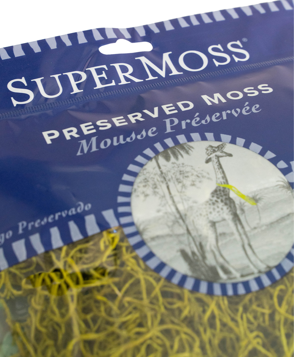 Spanish Moss - Basil