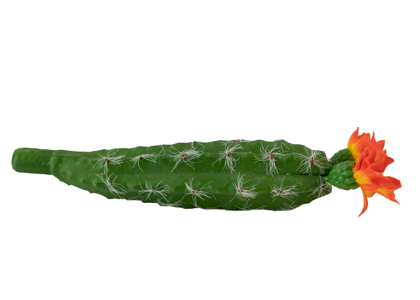 7.5" Peruvian Cactus Pick