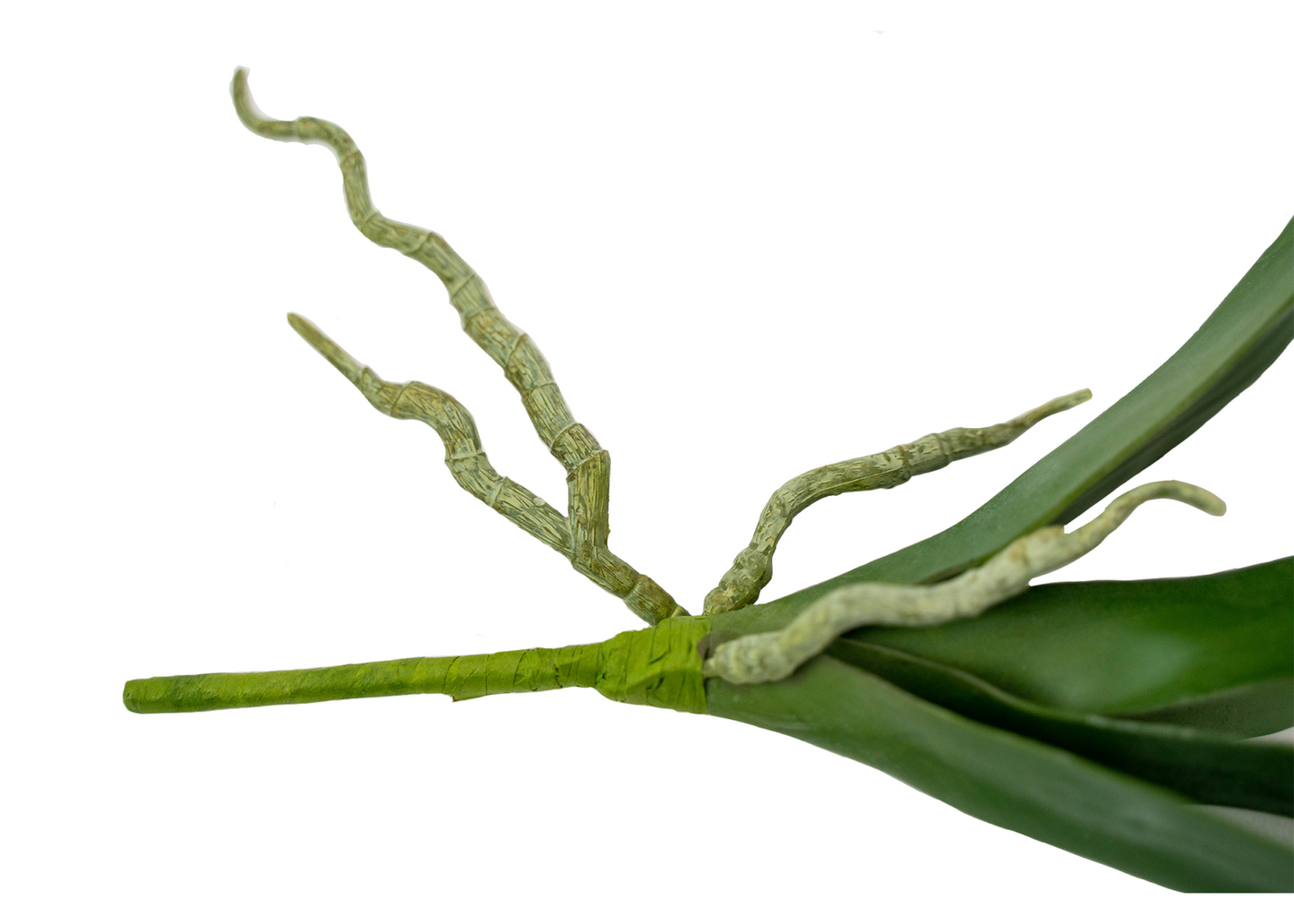 Phalaenopsis Plant Leaf Pick - 8 inch
