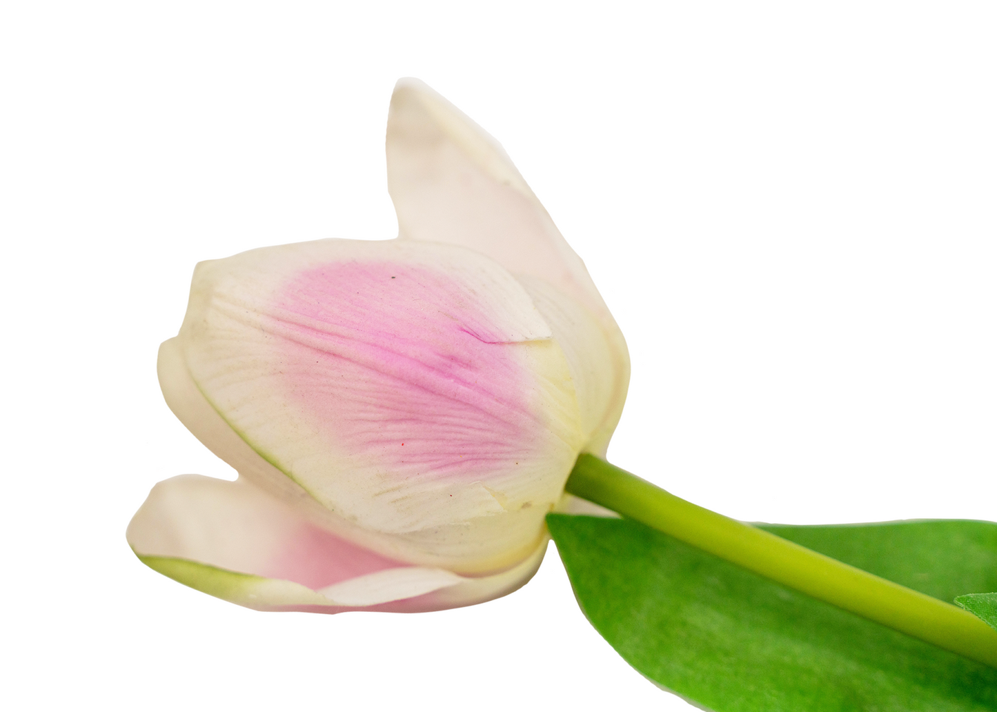 24" Soft touch tulip spray - Pink
