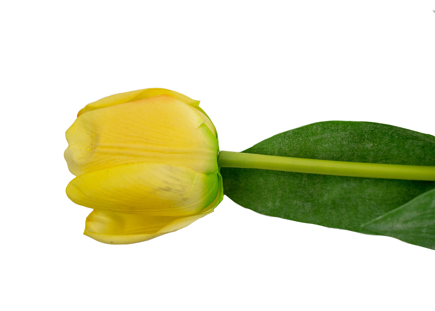 24" Soft touch tulip spray-Yellow