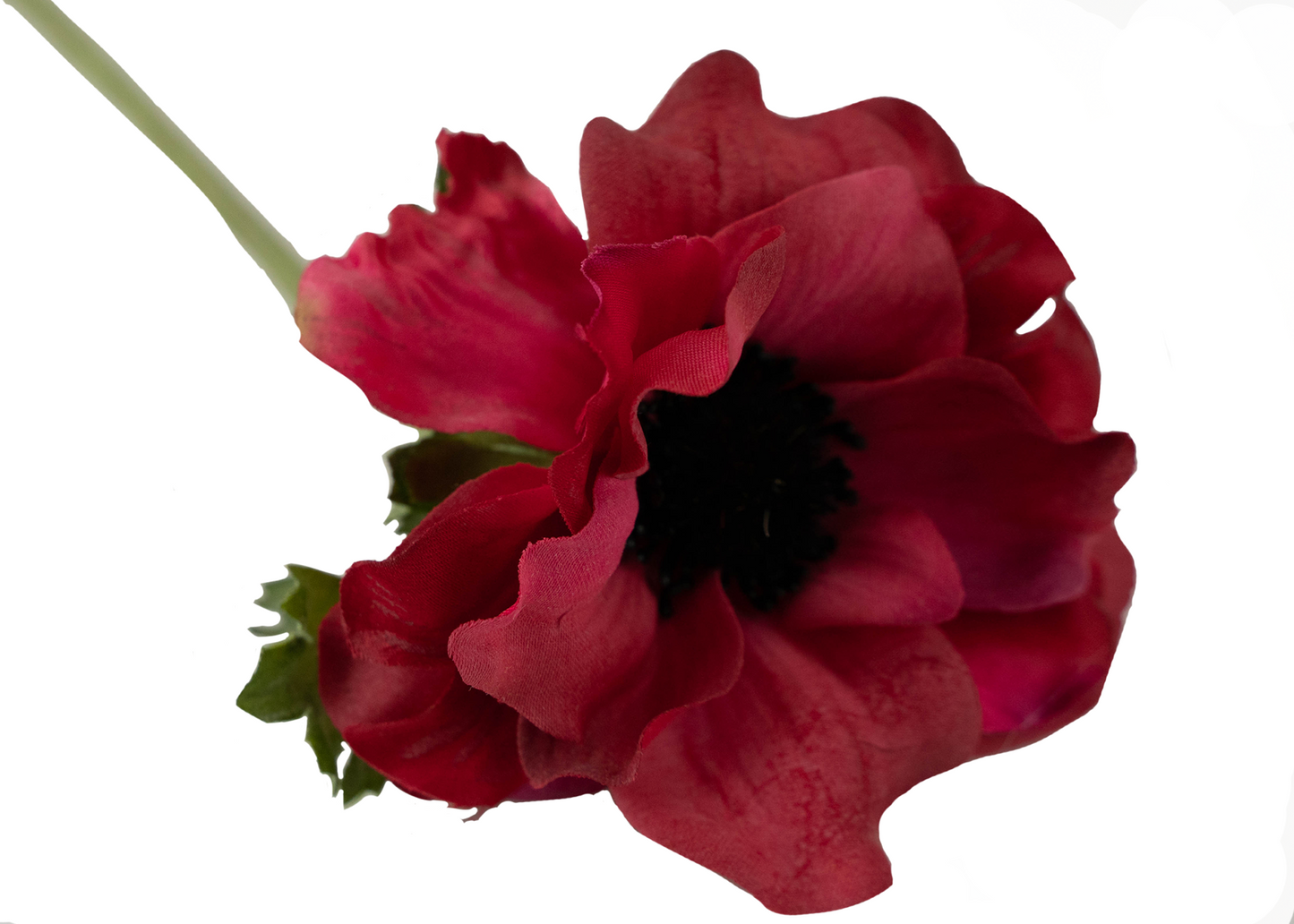 Anemone Spray Stem Red 15"