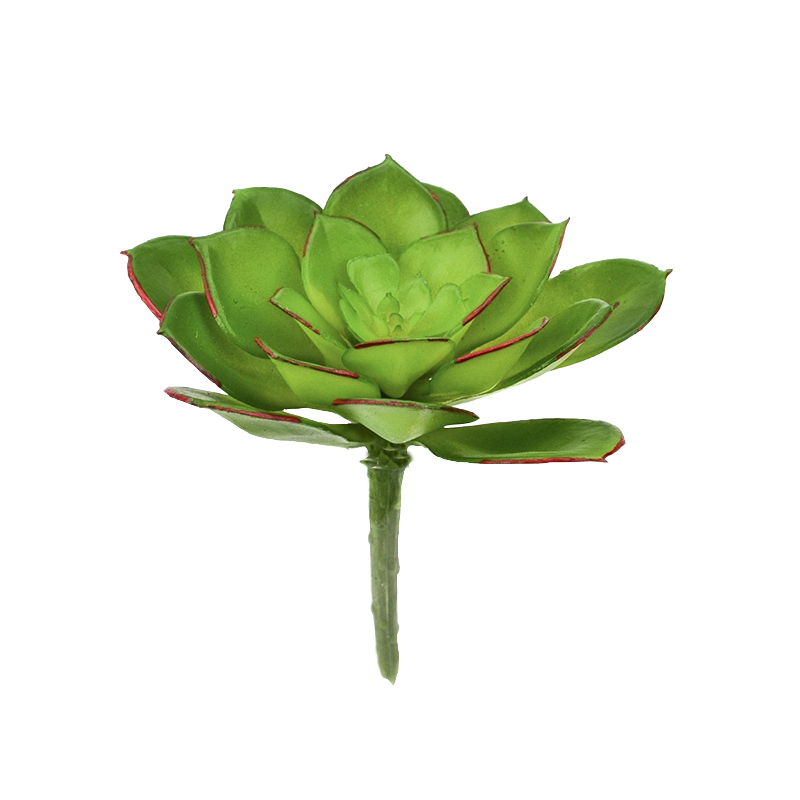 3.5 inch Echeveria Succulent Pick