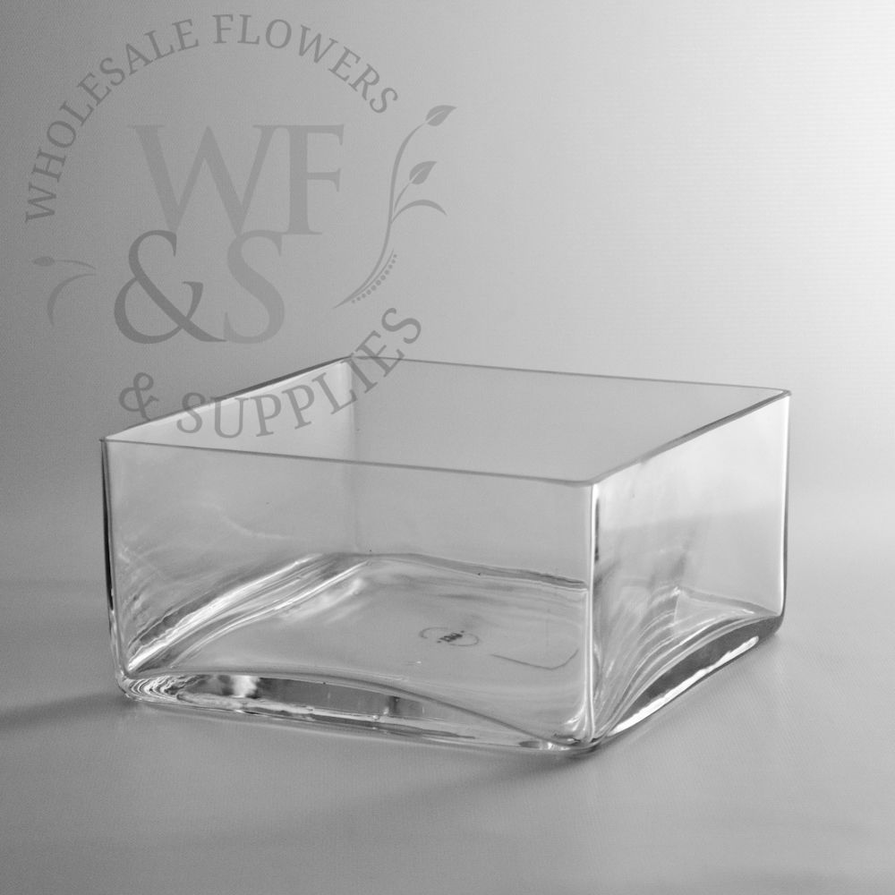 Square Glass Dish Garden 4-inches tall x 8-inches wide