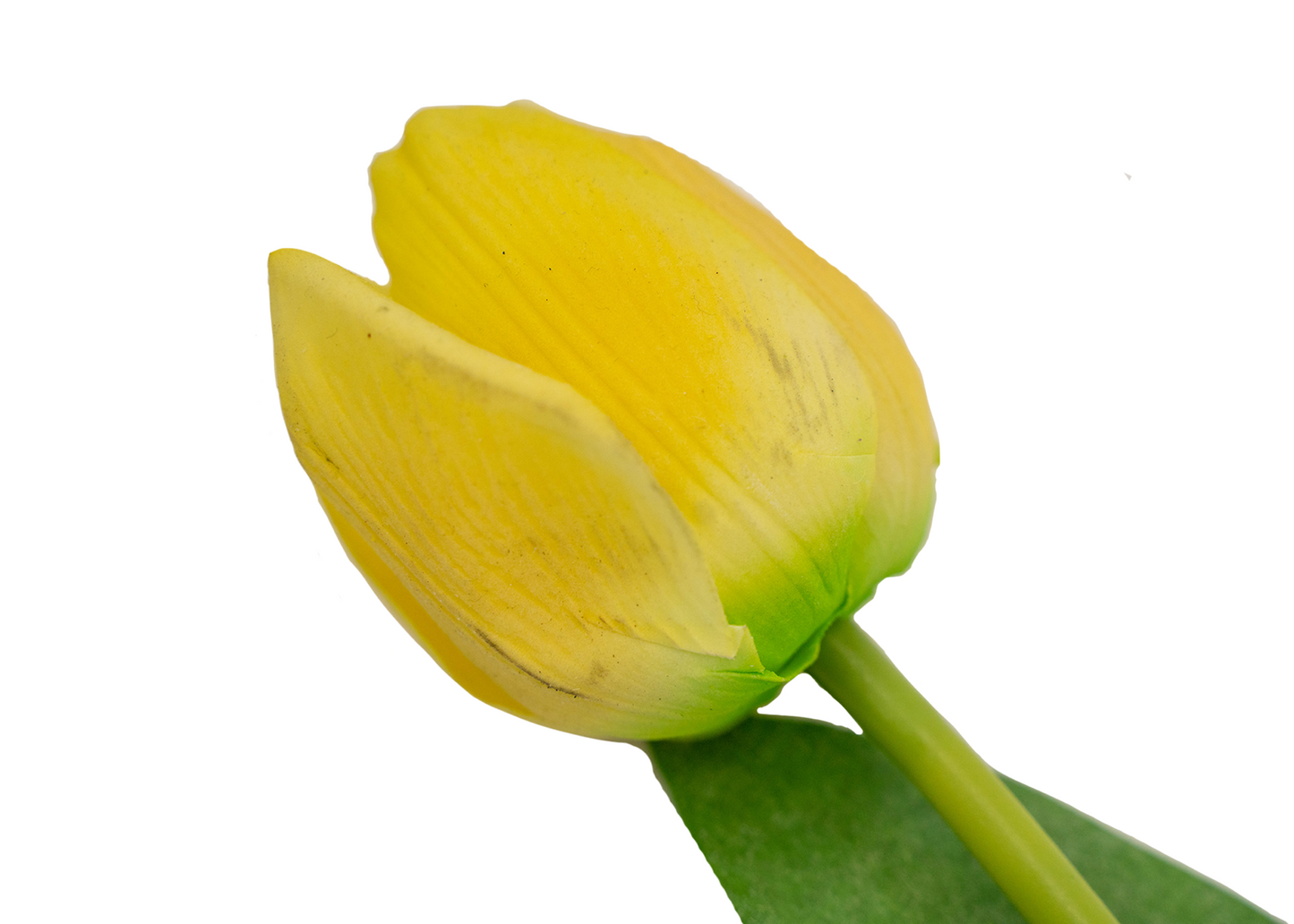 24" Soft touch tulip spray-Yellow