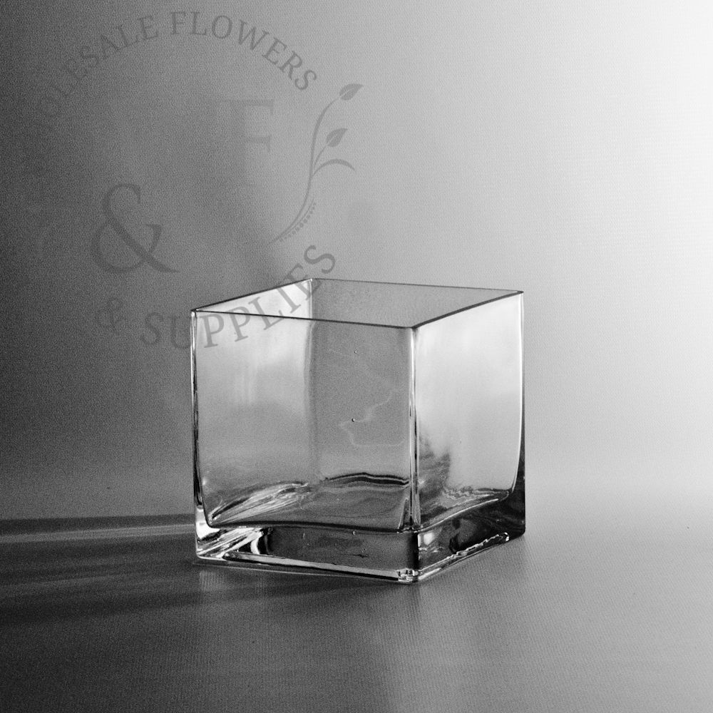 Square Glass Cube Vase 5x5