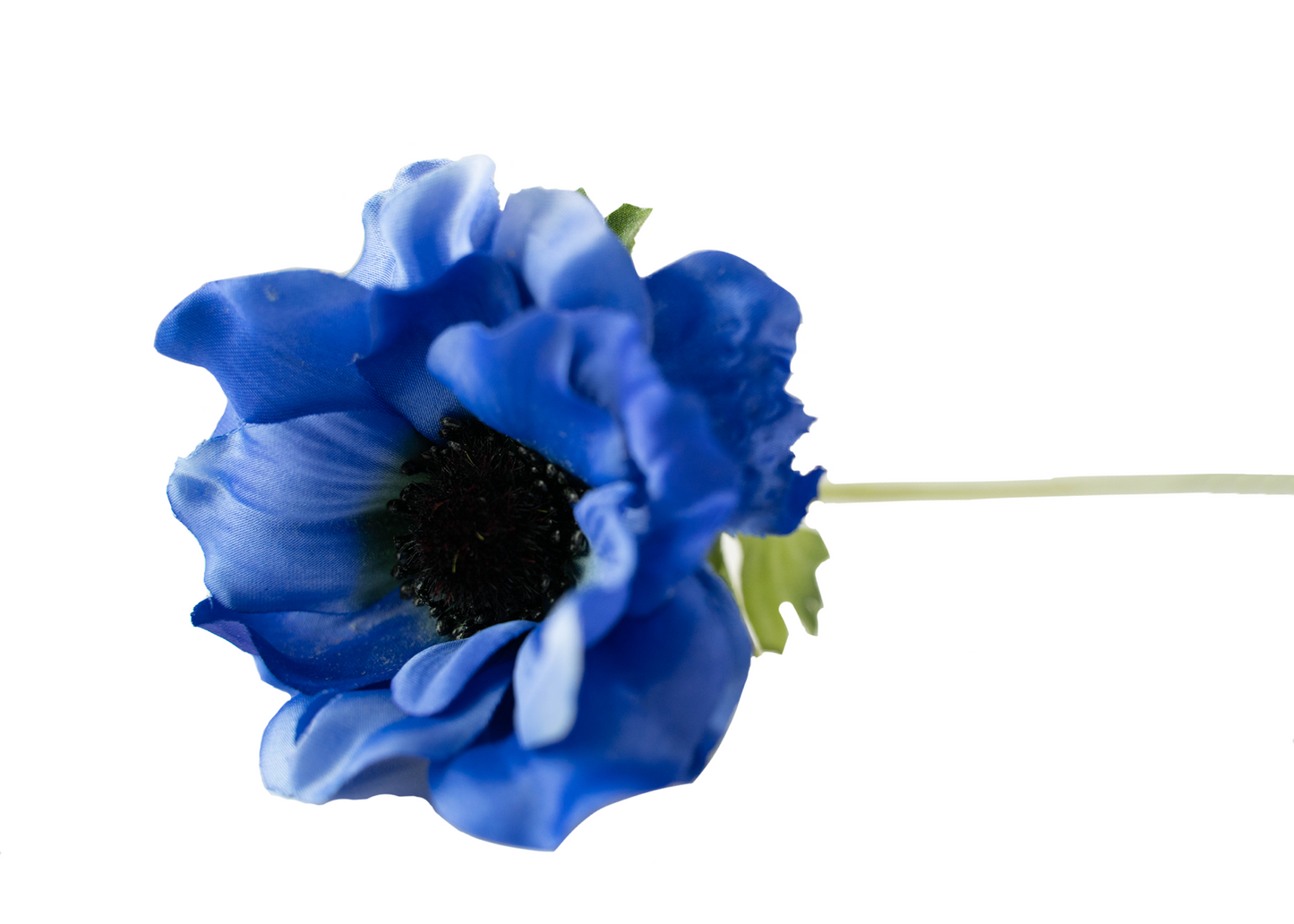 Anemone Spray Stem Blue 15"