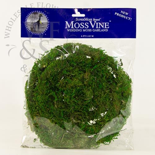 6' SuperMoss Winding Moss Garland Vine