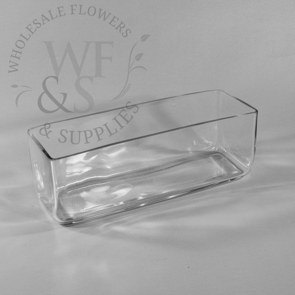 Rectangle Glass Vase 12"x 4"x 4"