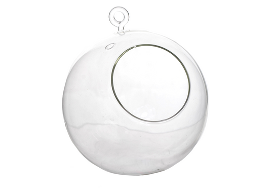 Hanging glass ball shape terrarium - Medium