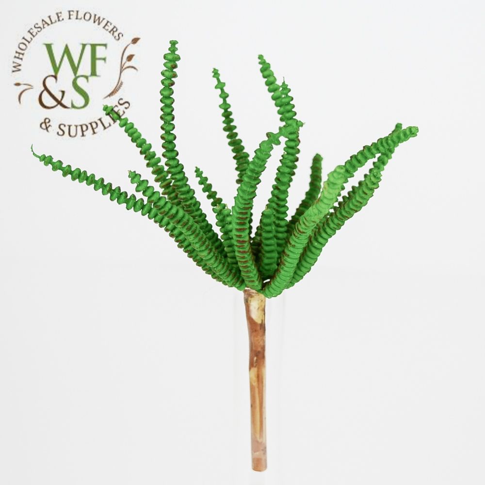 7.4" worm succulent pick green asf