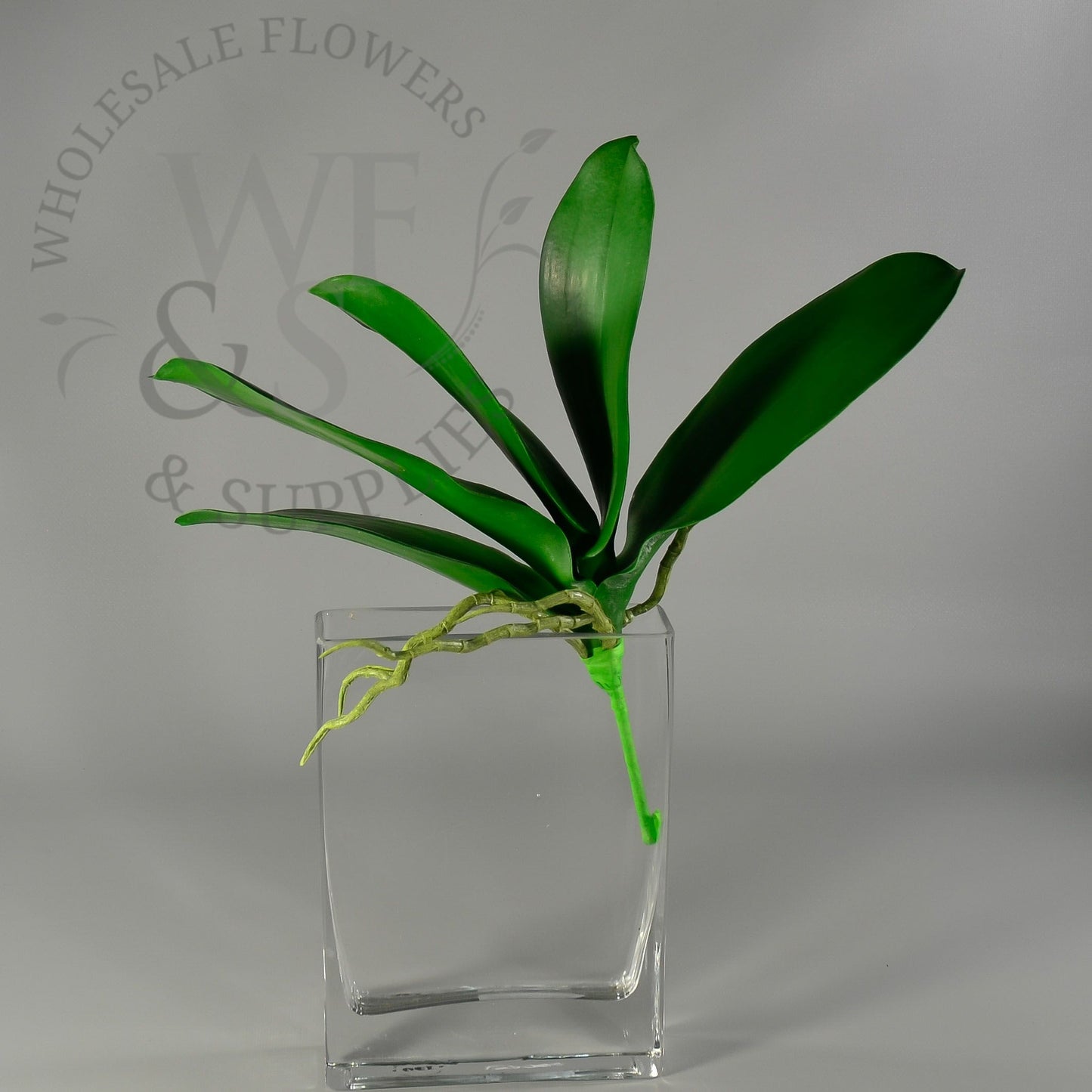 Faux Phalaenopsis Plant Leaf pick - Green