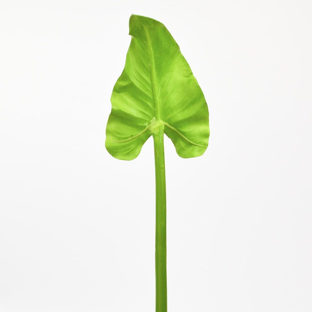 Calla Leaf Synthetic - 31.5 Inch