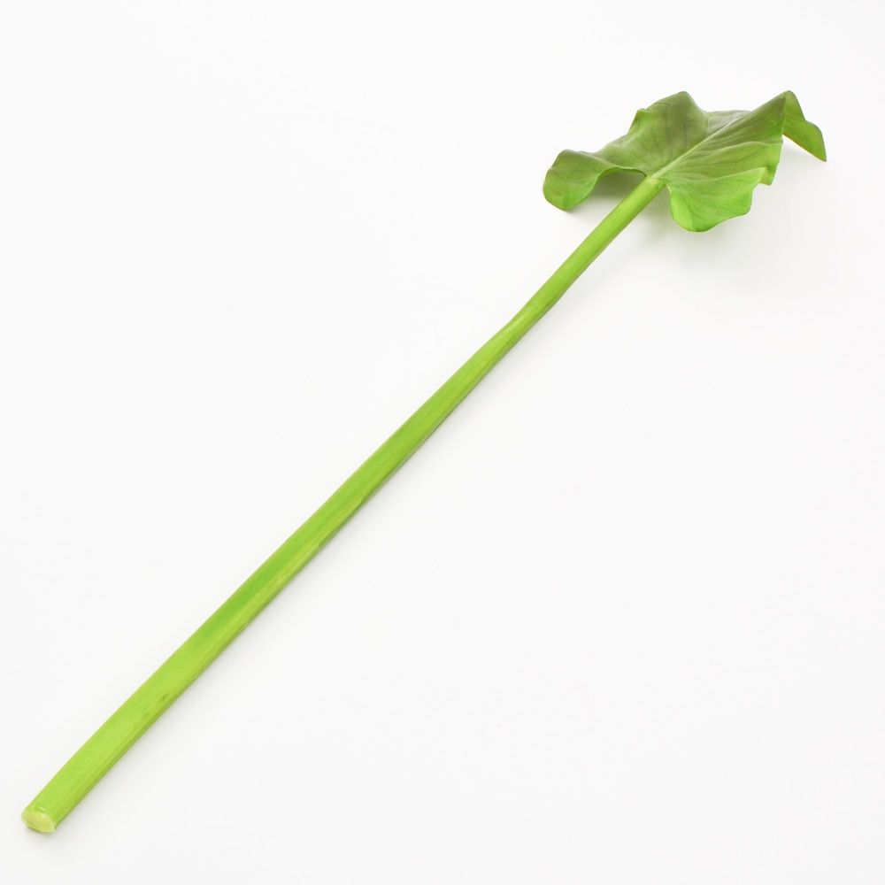 Calla Leaf Synthetic - 31.5 Inch