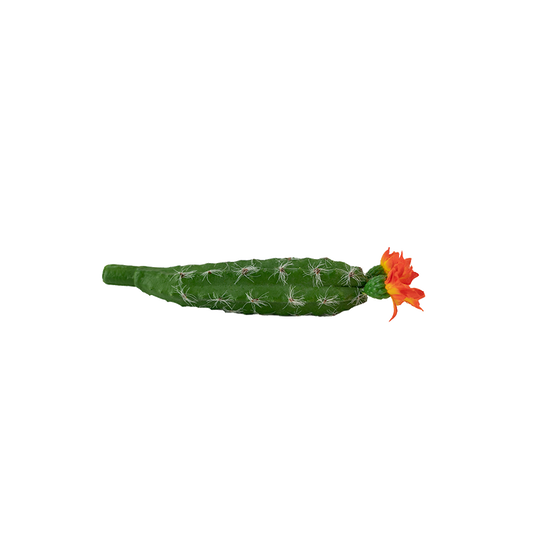 7.5" Peruvian Cactus Pick