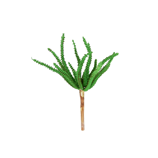 7.4" worm succulent pick green asf