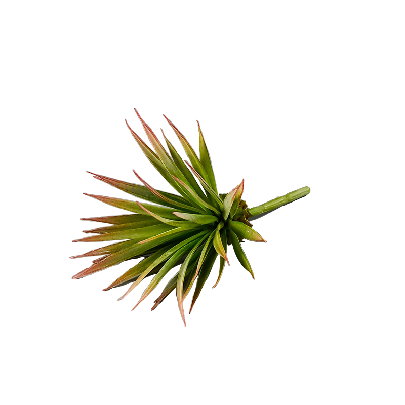 6.5" Yucca Succulent Pick Green