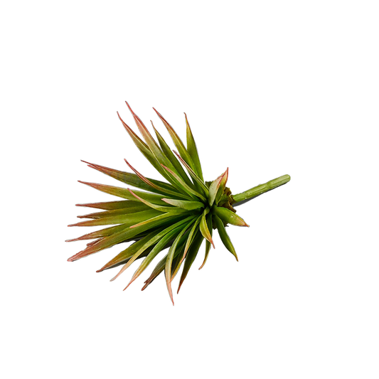 6.5" Yucca Succulent Pick Green