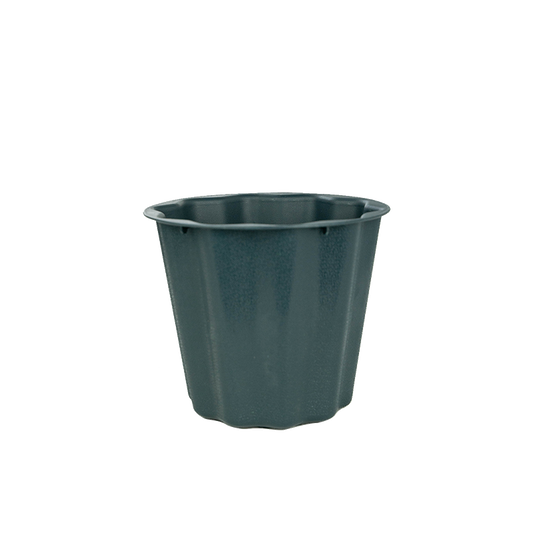 6.5" Green Floral Container