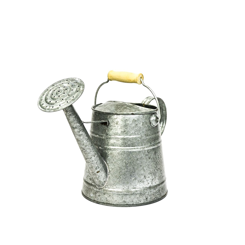 Galvanized Watering Can Container with Wood handle