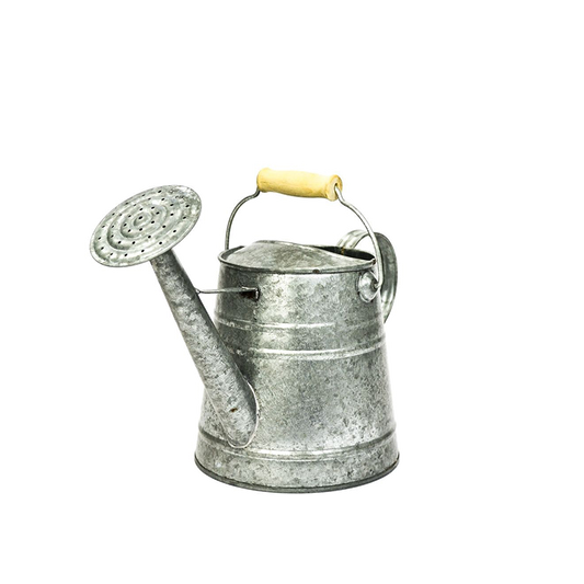 Galvanized Watering Can Container with Wood handle