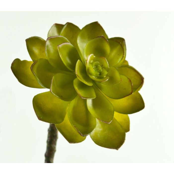 Artificial 3 Stem Echeveria Succulent