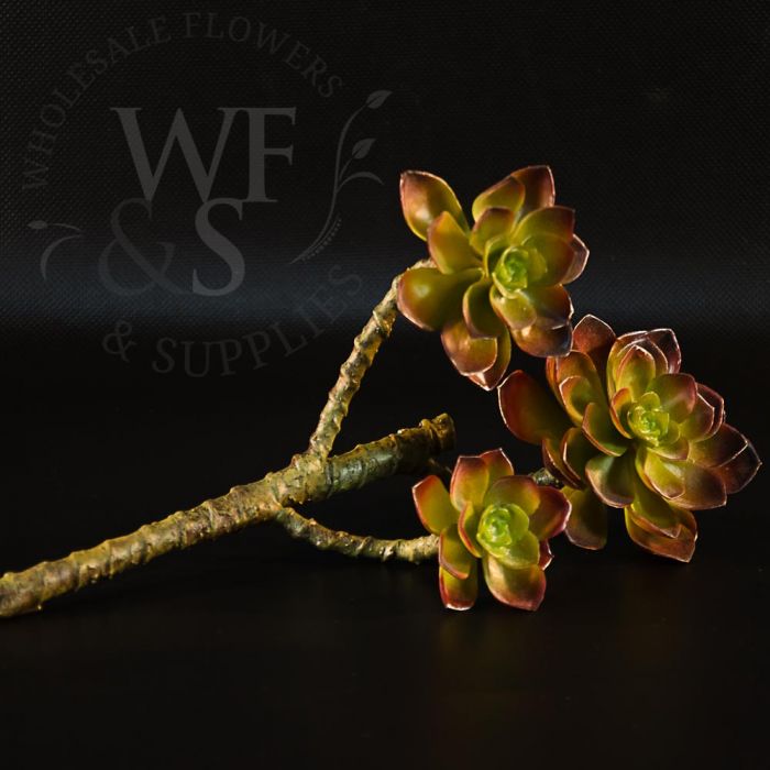 Artificial 3 Stem Echeveria Succulent