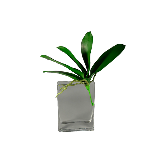 Faux Phalaenopsis Plant Leaf pick - Green