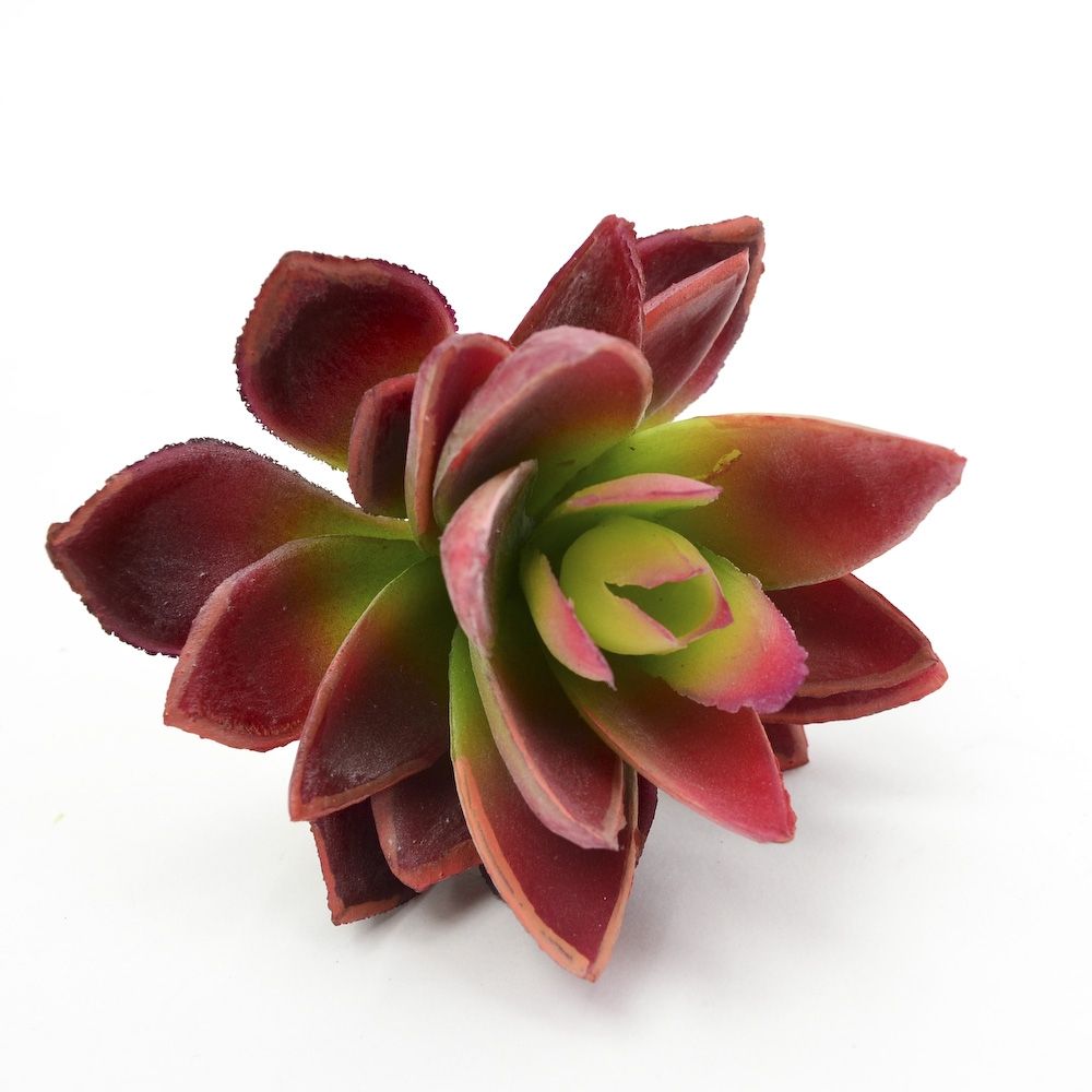 Mini Agave Succulent Pick - Red