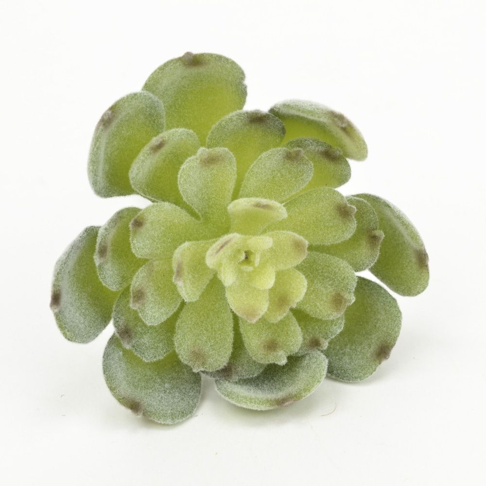 2.5 inch Faux Succulent - Baby Fuzzy Echeveria