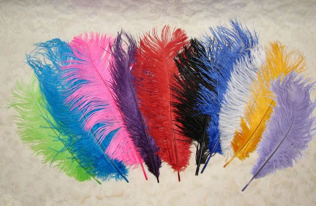 Colored Ostrich Feather Drabs 5 stems