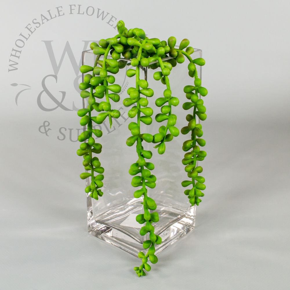 Pearl String Succulent Pick