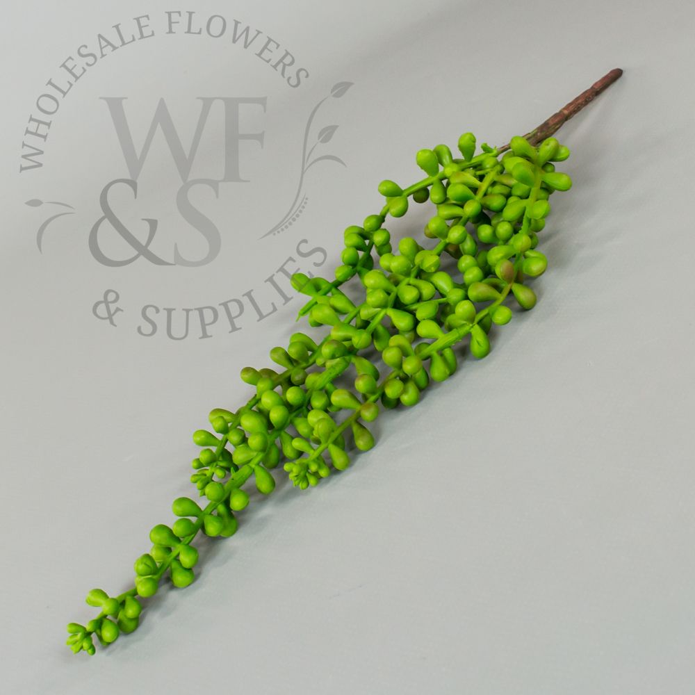 Pearl String Succulent Pick